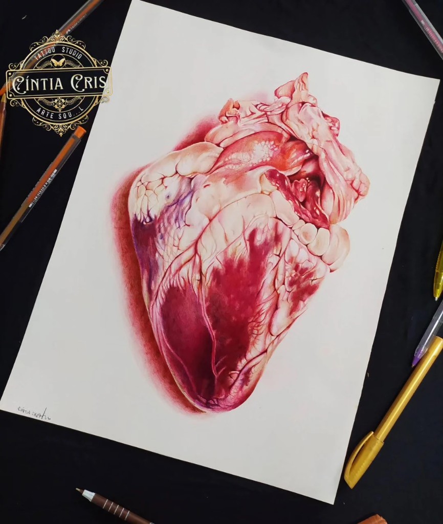 Meu Coração, an anatomical study of a human heart in layers of red, pink and violet, a ballpoint-pen drawing by Cíntia Cris.